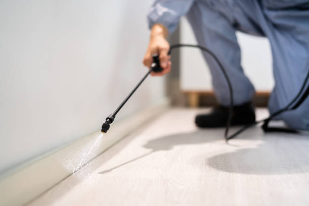 Bed Bug Pre-Treatment Preparation Assessment in Muniz