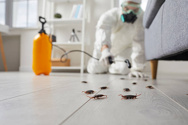 Post-Treatment Bed Bug Interceptor Monitoring in Muniz