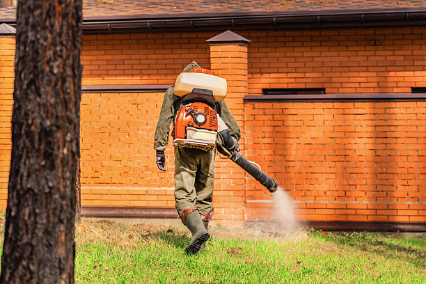 Bed Bug Clearance Verification and Documentation in Muniz
